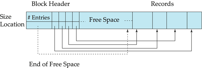 db_review_12.1