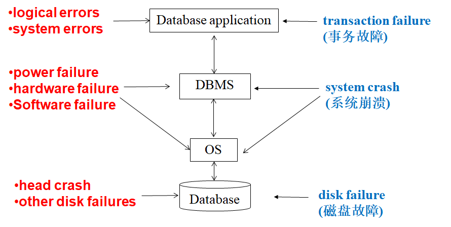 db_review_19.1